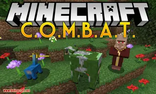 COMBAT Mod (1.17.1, 1.16.5) – Concept Of Magic Battle And Technology