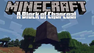 A Block of Charcoal Mod (1.18.2, 1.16.5) – A New Fuel