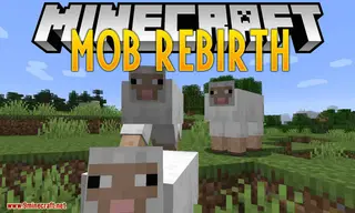 Mob Rebirth Mod (1.18.2, 1.17.1) – Mobs Has a Chance to Reborn When Die