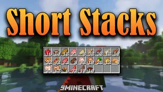 Short Stacks Mod 1.16.5 (Stacking will be more difficult)