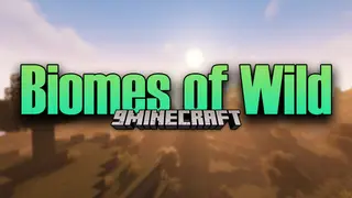 Biomes of Wild Mod 1.17.1 (Unique Biomes added)