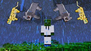 Raining Cats and Dogs Mod 1.15.2, 1.12.2 (Ocelots and Wolves Fall from the Sky)