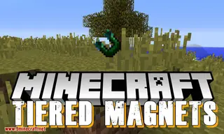 Tiered Magnets Mod (1.16.5, 1.12.2) – Make Retrieving Items Easier