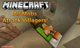 All Mobs Attack Villagers Mod 1.15.2, 1.14.4 (More Chaos in the Village in Night)