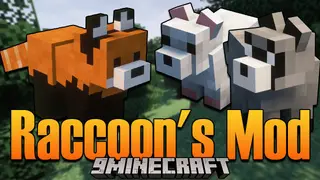 Raccoon's Mod 1.16.5 (New Adorable Raccoon in the Game)