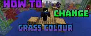 Chromatic Foliage Mod 1.12.2 (Coloured Variants of Grass)