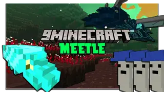 Meetle Mod 1.16.5 (Dimension, Entities)