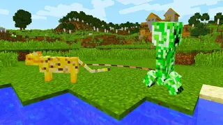 Entity Spring Mod 1.15.2, 1.14.4 (Create Springs Between Entities)
