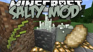 Salty Mod 1.15.2, 1.12.2 (Extremely Necessary Factors in Life)