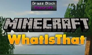 WIT Mod 1.13.2, 1.12.2 (What Is That?)