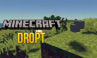 Dropt Mod 1.12.2 (A Block Drop Replacement Modification)