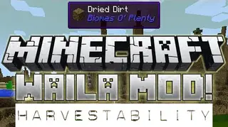 Waila Harvestability Mod (1.16.5, 1.15.2) – Never Use the Wrong Tool