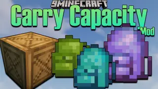 Carry Capacity Mod 1.16.5 (Inventory, Management)