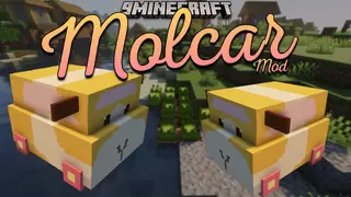 Molcar Mod 1.16.5 (Vehicle, Cartoon)