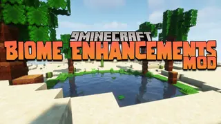 Biome Enchancements Mod 1.16.5 (Trees, Biomes Improvements)
