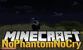 NoPhantomNoCry Mod 1.17.1, 1.16.5 (No More Phantoms)