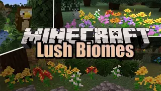 Lush Biomes Mod 1.16.5, 1.15.2 (Flowers, Owls)