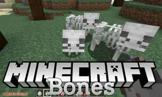 Bones Mod 1.16.5, 1.15.2 (Bunch of New Skeletal Mobs)