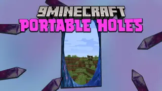 Portable Holes Mod 1.16.5 (Portal)