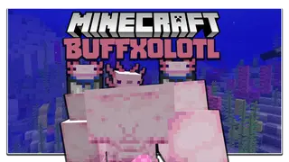 Buffxolotl Mod 1.12.2 (The One)