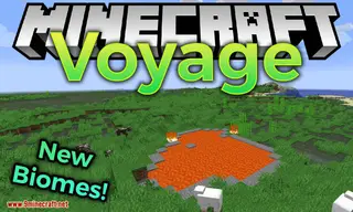 Voyage Mod 1.16.5, 1.15.2 (Too Many New Biomes)