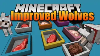 Improved Wolves Mod 1.15.2 (Pet Feeder)