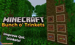 Bunch o' Trinkets Mod 1.16.5 (Improve QoL Trinkets)