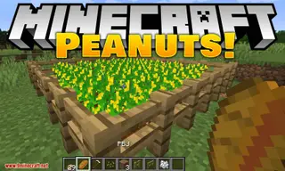 Peanuts Mod 1.16.5, 1.15.2 (Be a Peanut Farmer?)