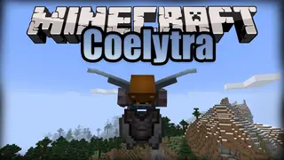Coelytra Mod 1.16.1 (Combining Armours with Elytra)