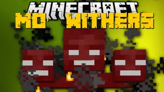 Mo' Withers Mod 1.8 (Wither Girl, Void Wither…)