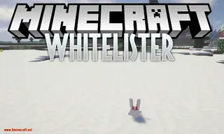 Whitelister Mod (1.16.5, 1.15.2) – Automatic Update Mods on Whitelist