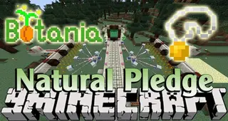Natural Pledge Mod 1.12.2 (An Automated and Magic-Related Mod)