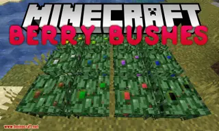 Berry Bushes Mod 1.15.2, 1.14.4 (Randomly Spawn Berry Bushes with Different Colors)