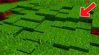 More Layers Mod 1.15.2, 1.14.4 (Making Smoother Landscapes)