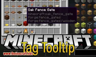 Tag Tooltip Mod 1.15.1, 1.14.4 (Adds a Tooltip that Shows What Tags an Item Has)