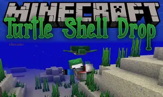 Turtle Shell Drop Mod (1.16.5, 1.15.2) – Turtles Drop Shells When They Die