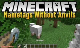 Nametags Without Anvils Mod 1.15.1, 1.14.4 (Rename a Nametag with Only a Feather)