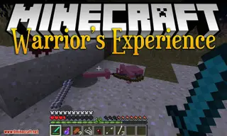Warrior's Experience Mod 1.12.2 (EXP Only Dropped from Combat)