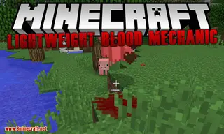 Lightweight Blood Mechanics Mod 1.12.2 (The Effect is Awesome)