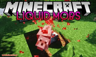 Liquid Mobs Mod 1.12.2 (Turn Mobs Into Goo)