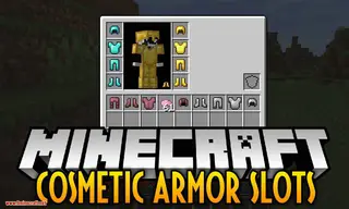 Cosmetic Armor Slots Mod 1.14.4 (How to Become Fashionable)