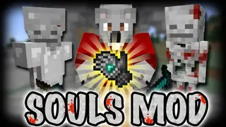 Souls Mod 1.12.2, 1.11.2 (Killing My Own Soul)