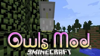 Owls Mod 1.12.2 (How to Tame Your Owl)