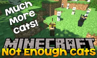 Not Enough Cats Mod 1.12.2, 1.11.2 (New Cat Types & Spawning Behavior)