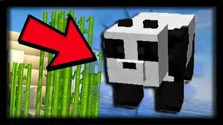 PanCraft Mod 1.12.2 (I am a Panda)