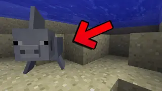 Merpig Mod 1.16.5, 1.15.2 (Water Version of the Pig)