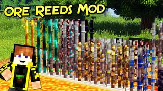 Ore Reeds Mod 1.16.5, 1.15.2 (A Different Way to get Minerals)