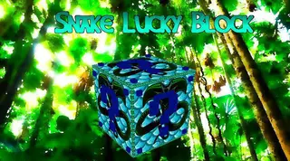 Snake Lucky Block Mod 1.8.9 (Mob Traps, Crazy Poison Armor)