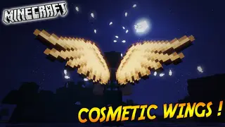 Cosmetic Wings Mod 1.12.1, 1.11.2 (Fully Customizable Wings)