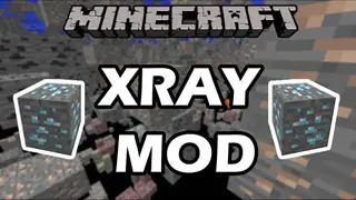 Julialy's X-Ray Mod 1.11.2, 1.10.2 (LiteLoader Version)